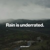 Noise Theories - Forest Rain