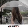 苏瑾沫、兮醉颜、挽木琴、洛伊之恋 - 巴西口水调 (DJ版)