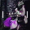 浩枫siy、DJ YiXiu、小奶瓶 - 为什么靠伤害我来成长