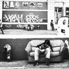 Greg - Family (Explicit)