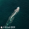 Hammad Rashid、Rasa - Tu hi (feat. Rasa)