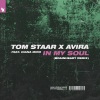 Tom Staar、AVIRA、Diana Miro - In My Soul (Brainheart Remix)