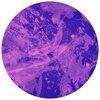 Abilenes - Aq. reef