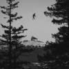 Holem、Ocean Wolf - Flower Boy
