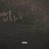River - FINE WRLD (Explicit)