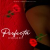 Michelle Ray - Perfecta