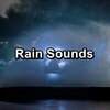 Sounds of Nature White Noise Sound Effects、Nature Recordings、Nature Spirit - Summer Rain and Nature Sounds To Repeat for 10 Hours