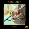 Moini - Orchard