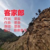 曾淼 - 客家郎