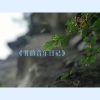 高登 - 说过 ，都要好好的....