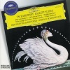 leon spierer、Eberhard Finke、Berliner Philharmoniker、mstislav rostropovich《I. Scene《Swan Theme (天鹅湖，作品20a，TH. 219《场景《天鹅湖主题)》[MP3/LRC]