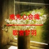 歌者梦羽 - 逝去的爱情