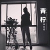 徐祖建 - 青柠