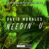 The Face、David Morales - Needin' U (Club Mix)