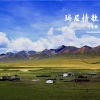浪子强涛、诗墨韩 - 玛尼情歌
