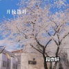 段亦轩 - 你的珍藏 (DJ版)