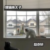 段亦轩 - 法则电摆 (DJ版)