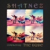 The Dude - Delivering Your Message