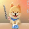 北诗 - 不要忘记我爱你 (DJ版)