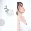 蒋蕙林 - 过路旅人
