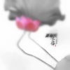 夏瑞杭 - 不染