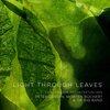 Peter Jensen、Morten Büchert、DR Big Band、Carl Nielsen - Light Through Leaves