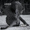 段亦轩 - 爱在记忆中 (DJ版)