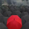 南昌成总 - 黎明前的黑暗 (DJ版)