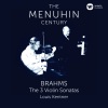 Yehudi Menuhin、Louis Kentner《Violin Sonata No. 1 in G Major, Op. 78: I. Vivace ma non troppo》[MP3/LRC]