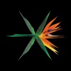 EXO - 破风 (The Eve)(Chinese Version)