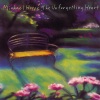 Michael Hoppé、Tim Wheater - The Unforgetting Heart