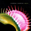 Cowboy Junkies - I Did It All for You