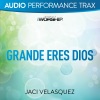 Jaci Velasquez - Grande eres Dios (Original Key Trax With Background Vocals)