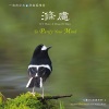 周志宏 - 活水源头