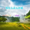 轻羽、王浩浩、是苏尘吖 - 暴力甩头