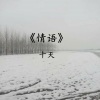 十天 - 情语