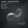 Andrei C、Brad Brunner - Fake Ass Thug (Original Mix)