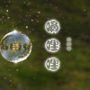 张思思 - 姑娘你怎么变了