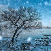 DJ97、DJ77、DJ思琪 - CountTheHours