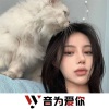 林大大、虞姬、圈妹、车载音乐汇 - 祝你顺风顺水 (DJ版)