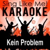 La-Le-Lu《Kein Problem (Originally Performed By Roland Kaiser)(Karaoke Version)》[MP3/LRC]