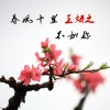 王妍之 - 春风十里不如你