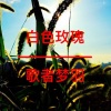 歌者梦羽 - 到底为谁提起笔