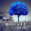 词傲孤梵 - 梧桐树的重逢