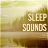 Deep Sleep Maestro《Calmness》[MP3/LRC]