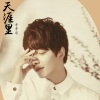 牙牙乐 - 天涯里