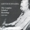 Artur Schnabel - 4 Impromptus, Op. 90, D. 899 - No. 1 in C Minor