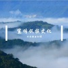 DJ尼保 - 一颗大树 (DJ版)