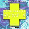 The Face、David Morales - Needin' U (Alt Original Remix)