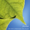 Paul Hillier、Ars Nova Copenhagen - Rise up, my love